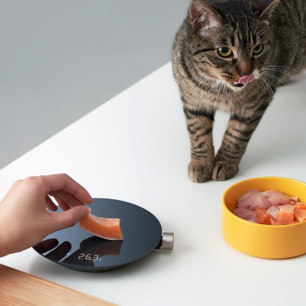 Smart Kitchen Scale - KitchenCraftedGoods